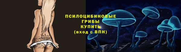 ГАЛЛЮЦИНОГЕННЫЕ ГРИБЫ Наволоки