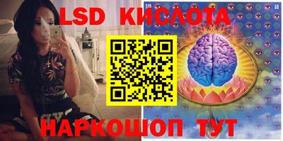 PSILOCYBIN Рыбинск
