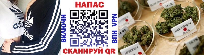 Бошки Шишки VHQ магазин продажи darknet клад Туймазы